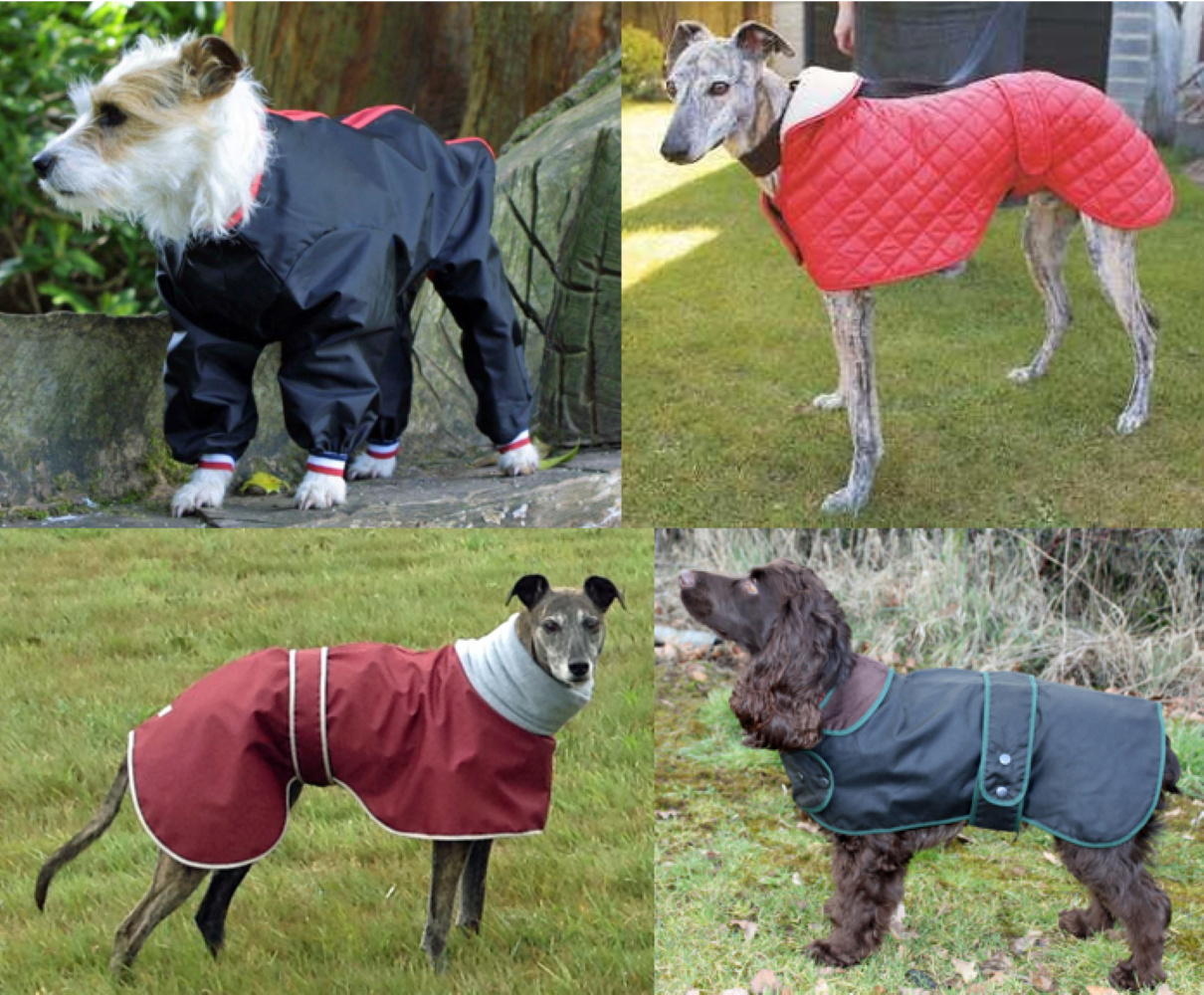 Dog Coats